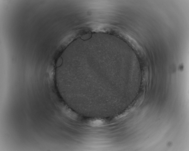 X0000102400513200808151946