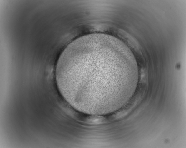 X0000102400514200808151946