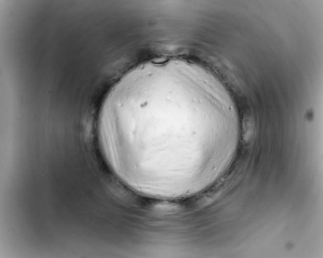 X0000102400515200808151946