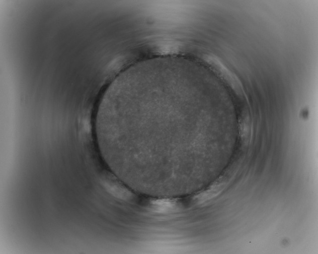 X0000102400516200808151946