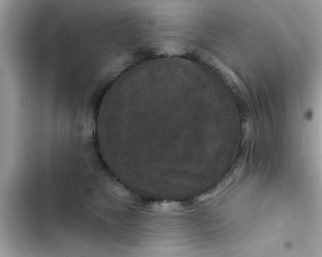 X0000102400517200808151946