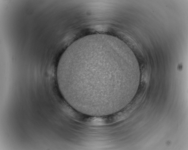 X0000102400518200808151946