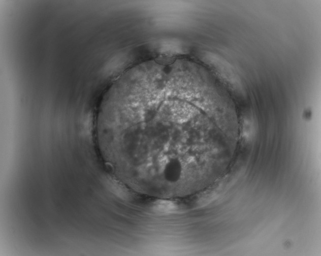 X0000102400519200808151946