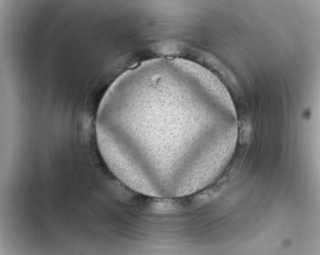 X0000102400521200808151946