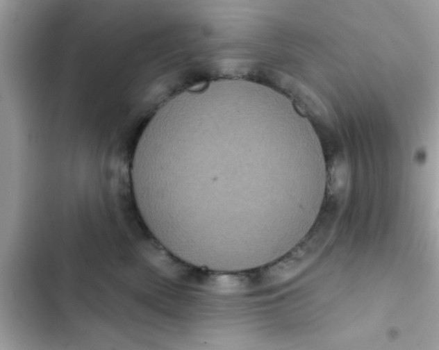 X0000102400522200808151946