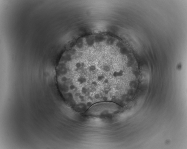 X0000102400523200808151946