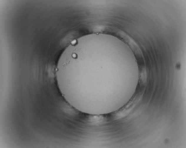 X0000102400525200808151946