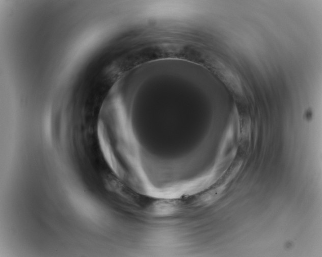 X0000102400526200808151946