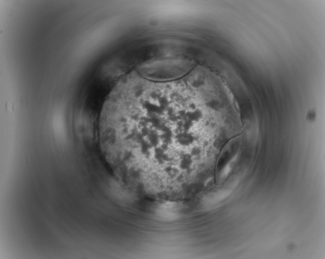 X0000102400527200808151946