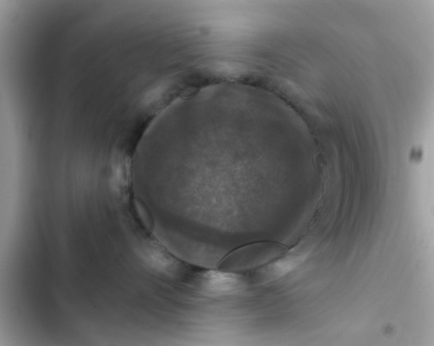 X0000102400528200808151946