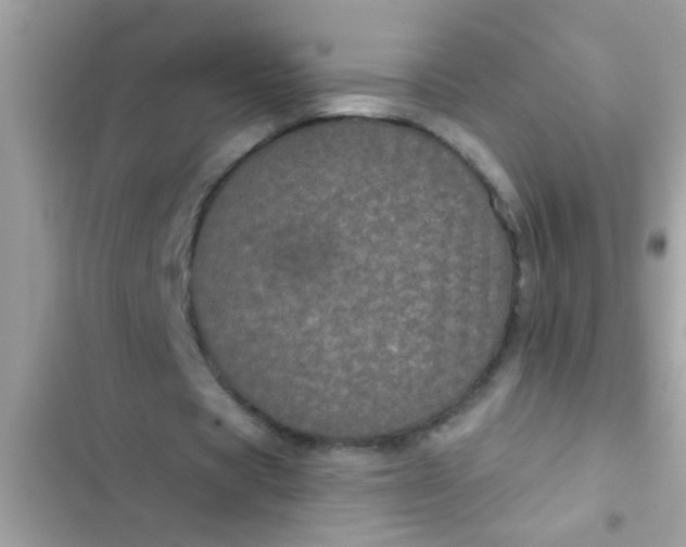 X0000102400529200808151945