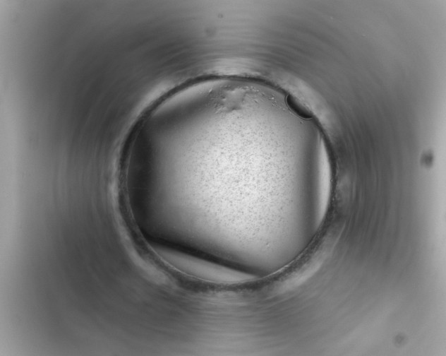 X0000102400530200808151945