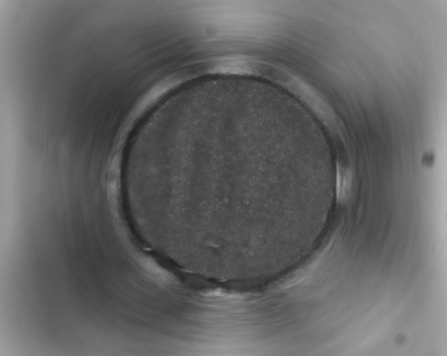 X0000102400531200808151945