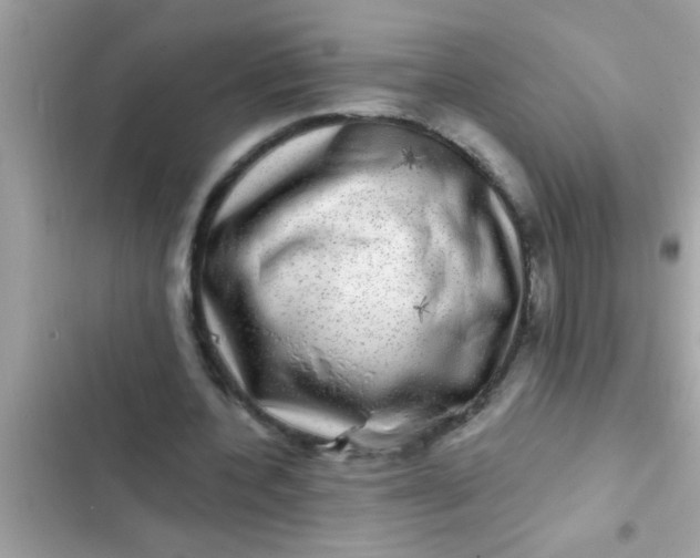 X0000102400532200808151945