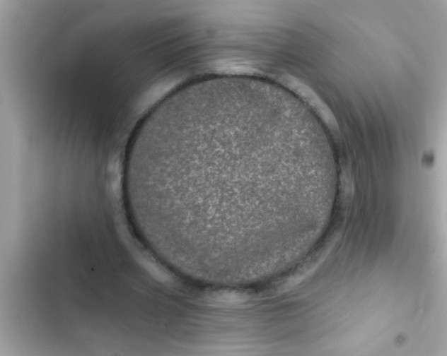 X0000102400533200808151945