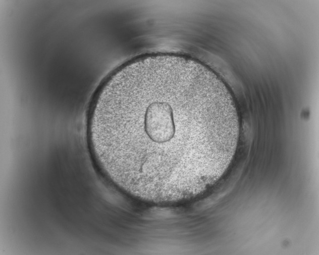 X0000102400534200808151945