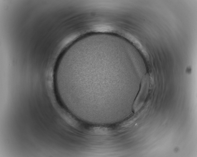 X0000102400535200808151945