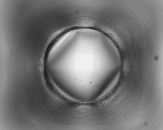 X0000102400536200808151945