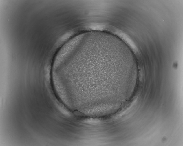 X0000102400537200808151945