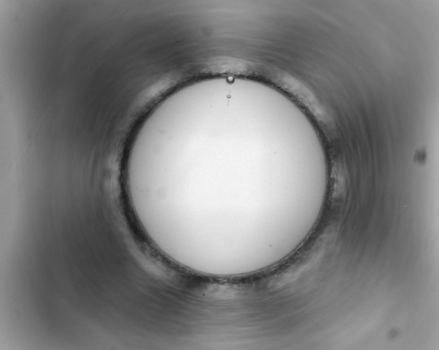 X0000102400538200808151945