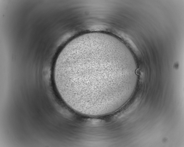 X0000102400539200808151945