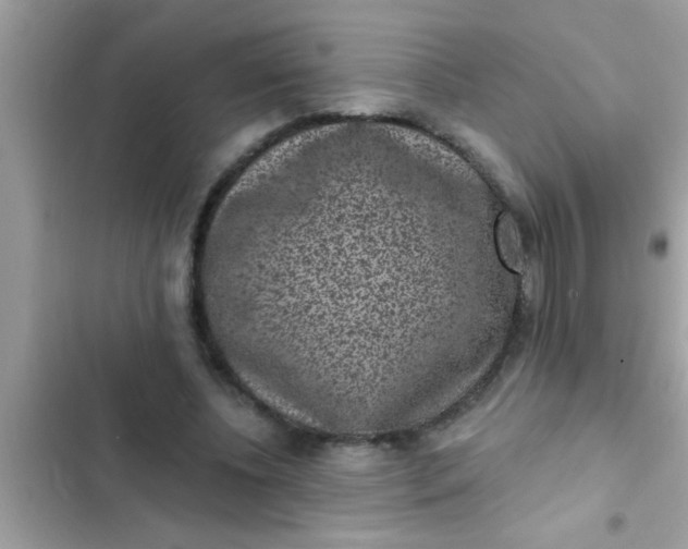 X0000102400540200808151945