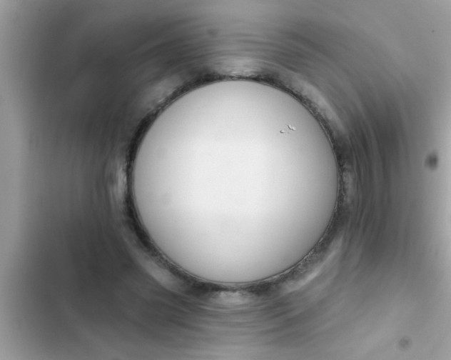 X0000102400541200808151945