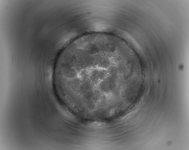 X0000102400542200808151945