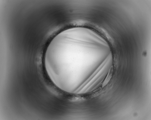 X0000102400543200808151945