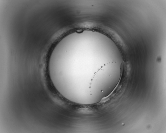 X0000102400544200808151945