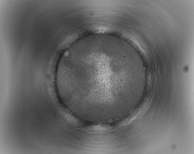 X0000102400545200808151945