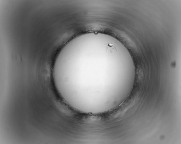 X0000102400546200808151945