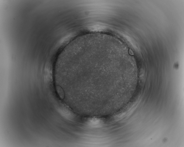 X0000102400547200808151945