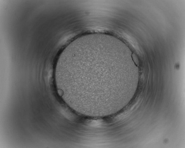 X0000102400548200808151945