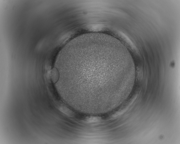 X0000102400549200808151945