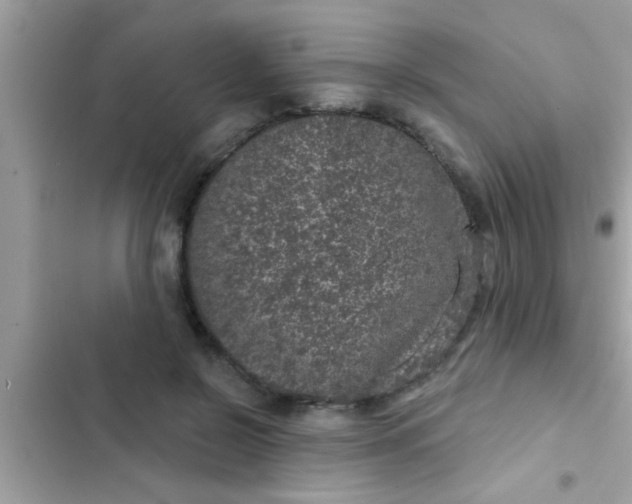 X0000102400550200808151945