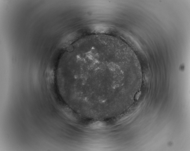 X0000102400551200808151945