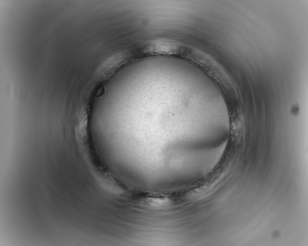 X0000102400552200808151945