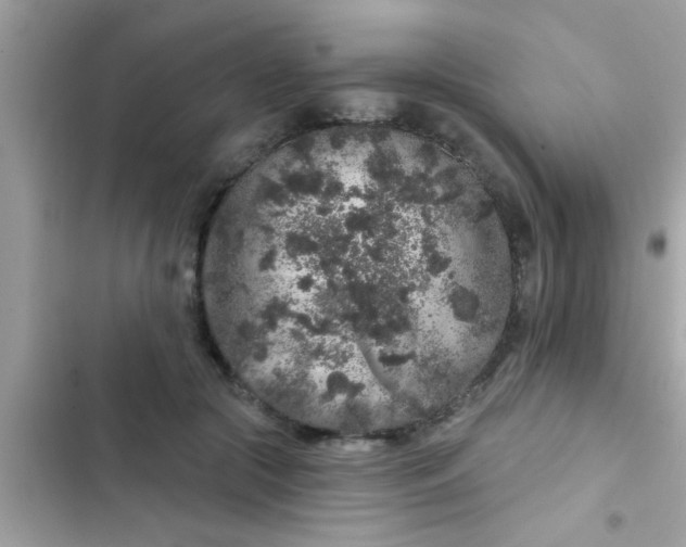 X0000102400553200808151945