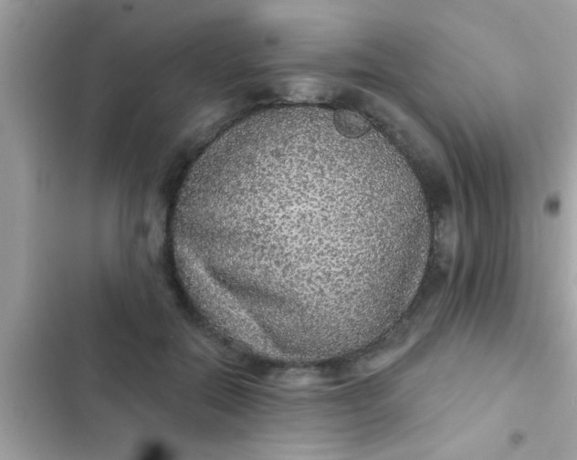 X0000102400554200808151945