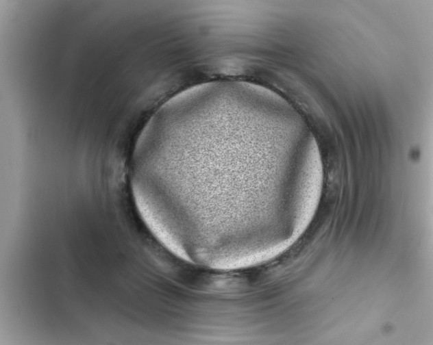 X0000102400555200808151945