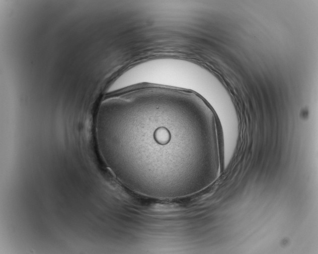 X0000102400556200808151945