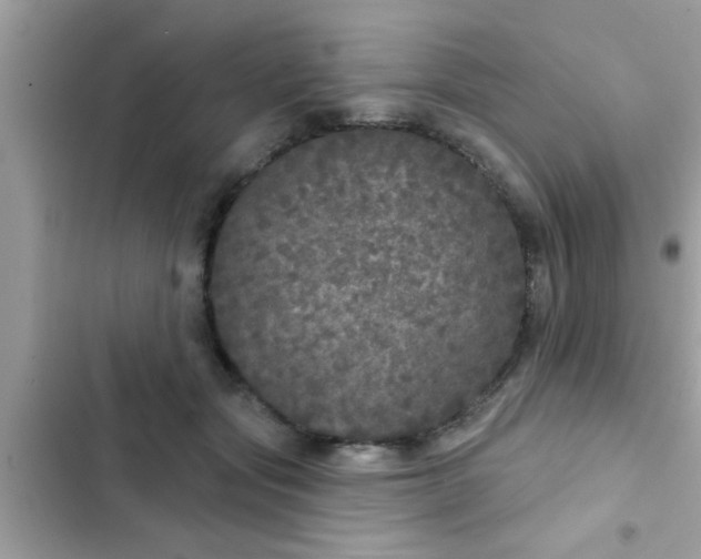 X0000102400557200808151945