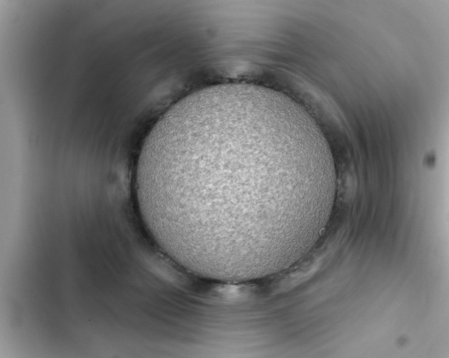 X0000102400558200808151945