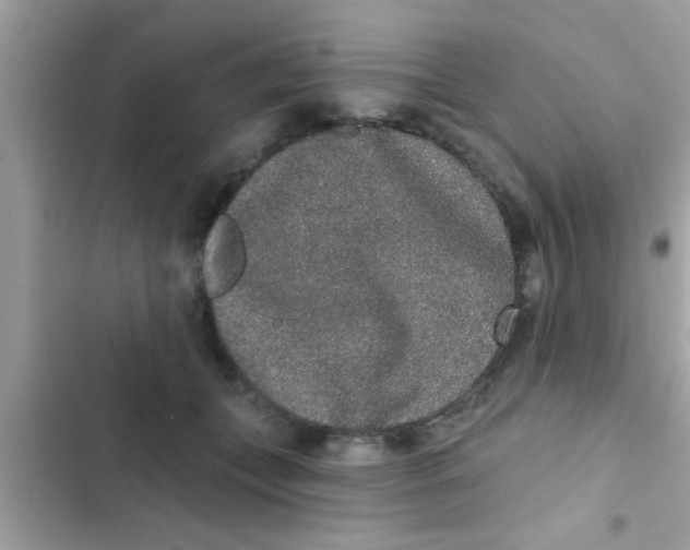 X0000102400559200808151945