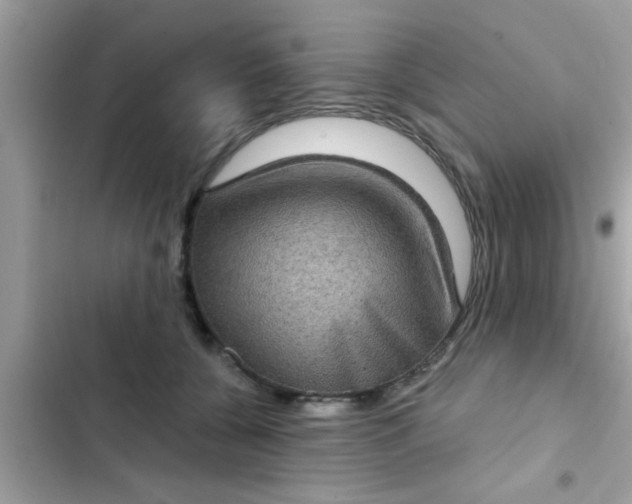 X0000102400560200808151945