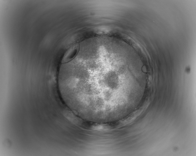 X0000102400561200808151945