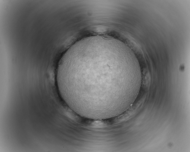 X0000102400562200808151945