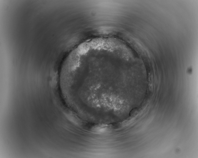 X0000102400563200808151945