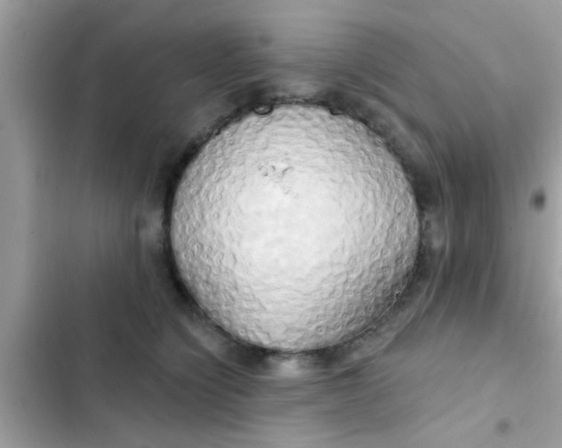 X0000102400564200808151945